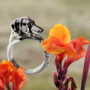 Anillo Doberman (Orejas Naturales) en Plata 925 | Anillo Abrazo