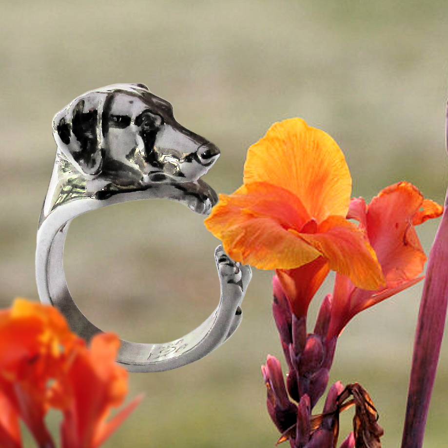 Anillo Doberman (Orejas Naturales) en Plata 925 | Anillo Abrazo