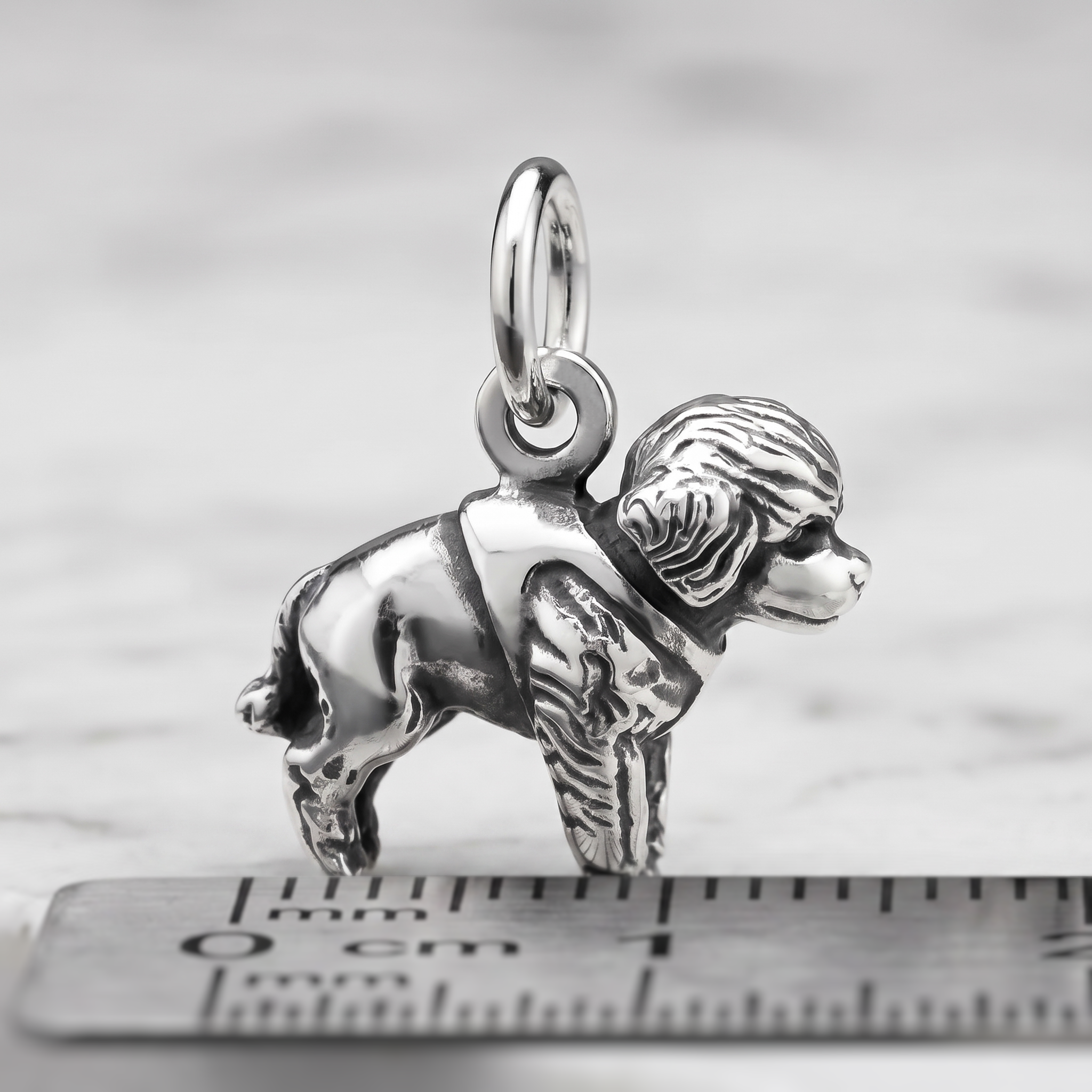 Colgante de Cachorro Caniche en Plata de Ley, Dije de Perro Bebé en 3D - Imagen 4