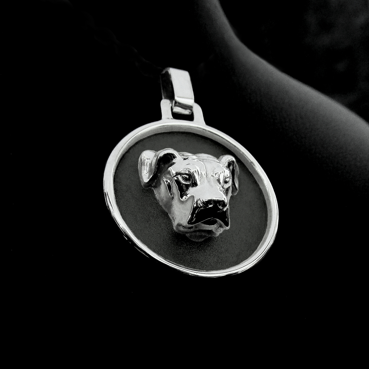 Dije Medalla Pitbull en Plata 925 | Colgante Redondo - Imagen 2