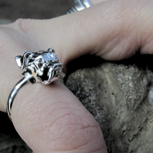 Anillo tipo alianza de Pitbull