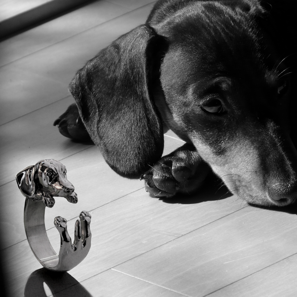 Anillo Perro Salchicha (Dachshund) en Plata 925 | Anillo Abrazo - Imagen 3