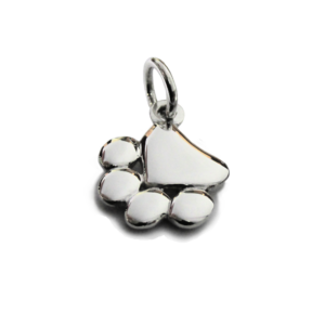 dije huella perro plata